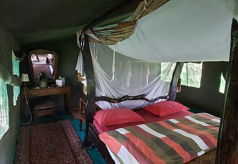 Aruba Mara Safari Camp - Talek, Masai Mara