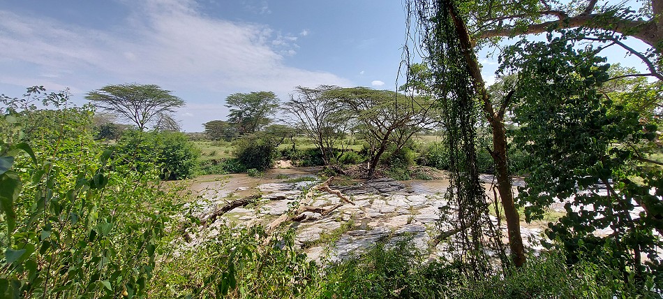Aruba Mara Safari Camp - Talek, Masai Mara