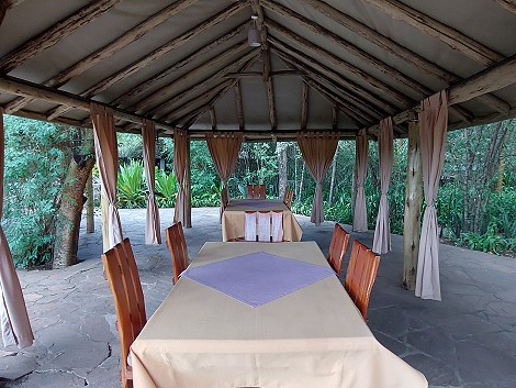 Aruba Mara Safari Camp - Talek, Masai Mara