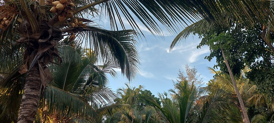 Boko Boko Bungalows and Guesthouse