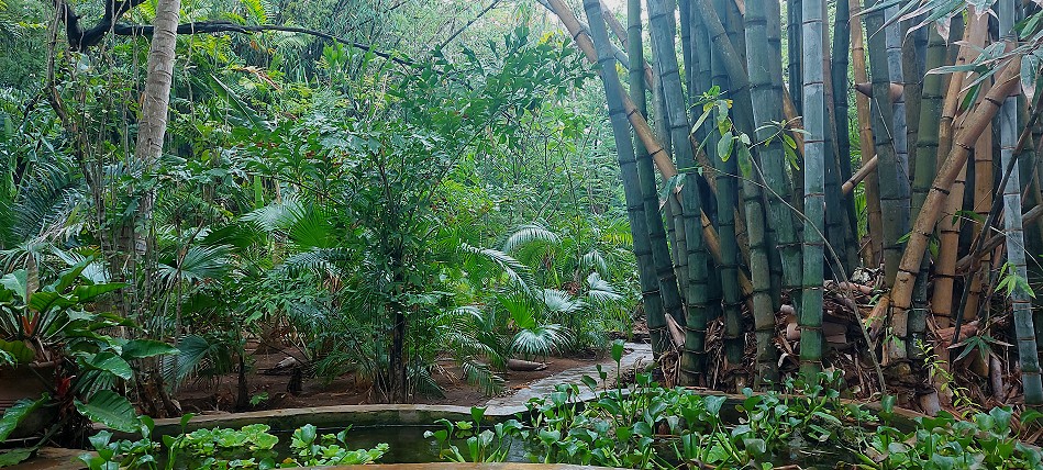 Boko Boko Bungalows and Guesthouse