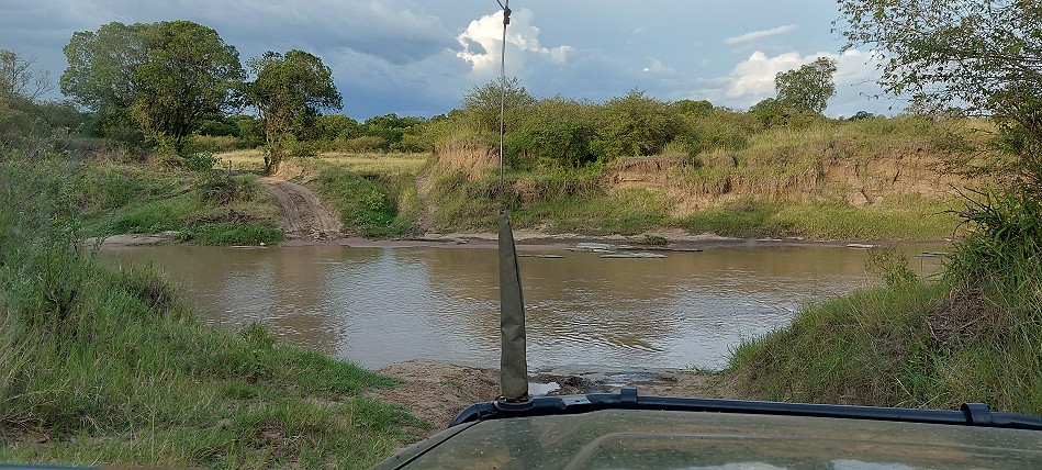 Flussdurchfahrt, Intrepid Crossing, Masai Mara