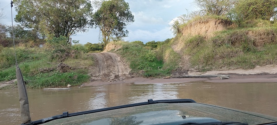 Flussdurchfahrt, Intrepid Crossing, Masai Mara