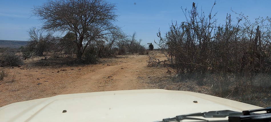 Lakipia Wilderness Game Drive with Stephen Leshorono