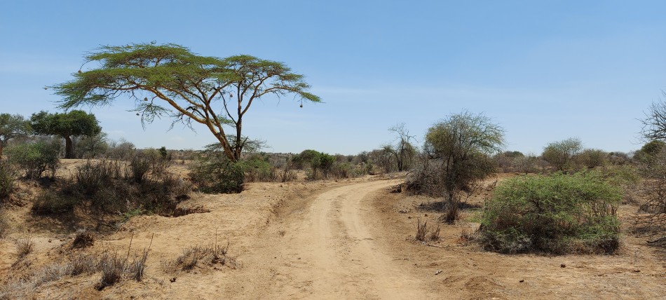 Laikipia Pirschfahrt