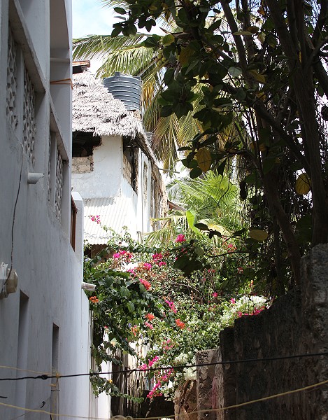 Shela - Lamu Island