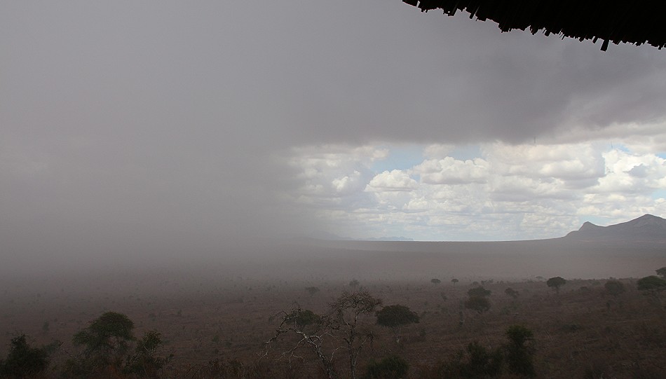 der Regen kommt, Leopards Lair Cottage