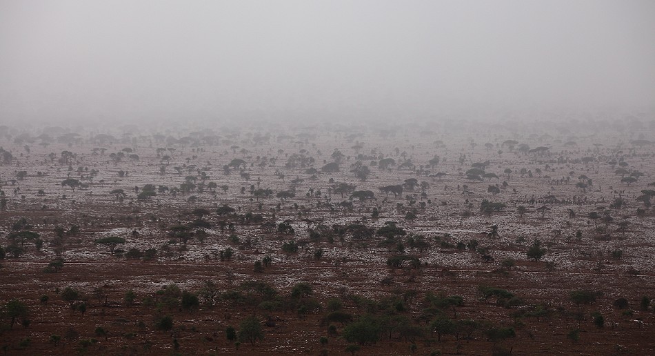 Lumo Conservancy nach einem kurzen Unwetter
