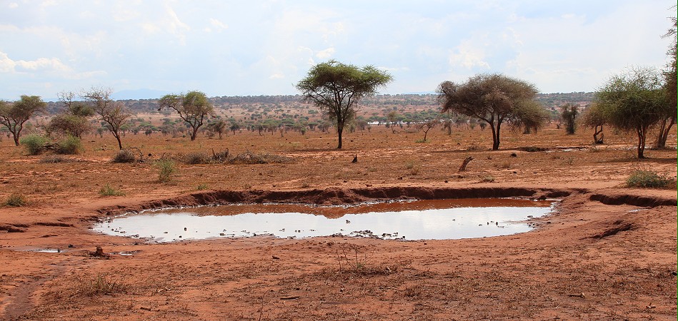 Lumo Conservancy nach einem kurzen Unwetter