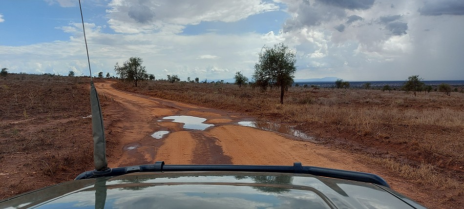nach einem Regenguss im Lumo Conservancy