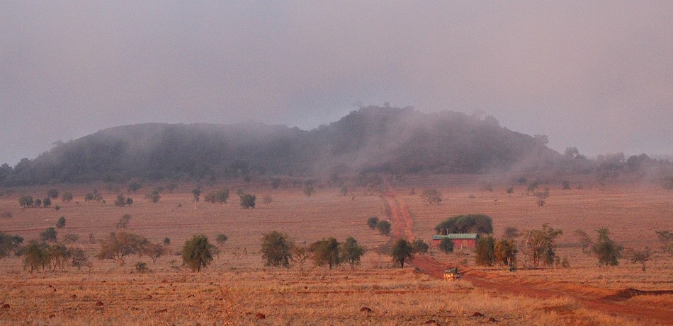 Morgennebel im Lumo Conservancy
