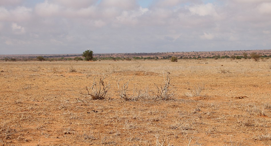 Dürre im Lumo Conservancy