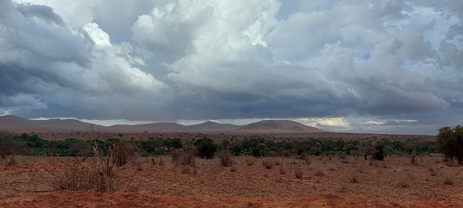 der Regen kommt, Lumo Conservancy Ende März 2023