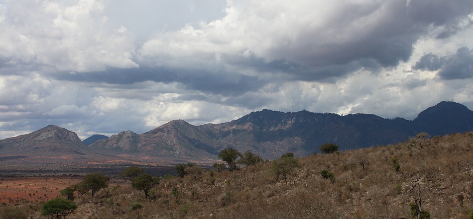 Lumo Conservancy