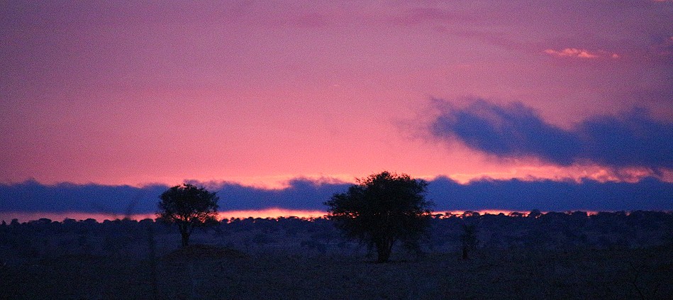 Taita Hills / Lumo Conservancy