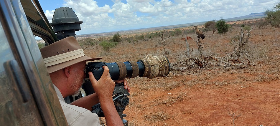 Lumo Conservancy, Geier bei der Arbeit