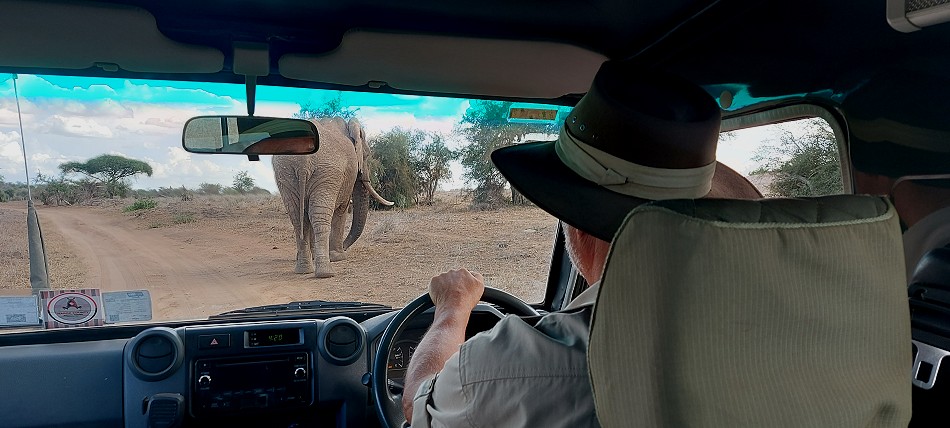hautnahe Elefantenbegegnung im Lumo Conservancy