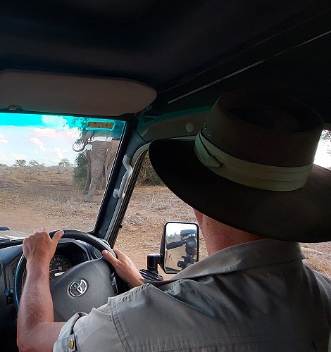 hautnahe Elefantenbegegnung im Lumo Conservancy
