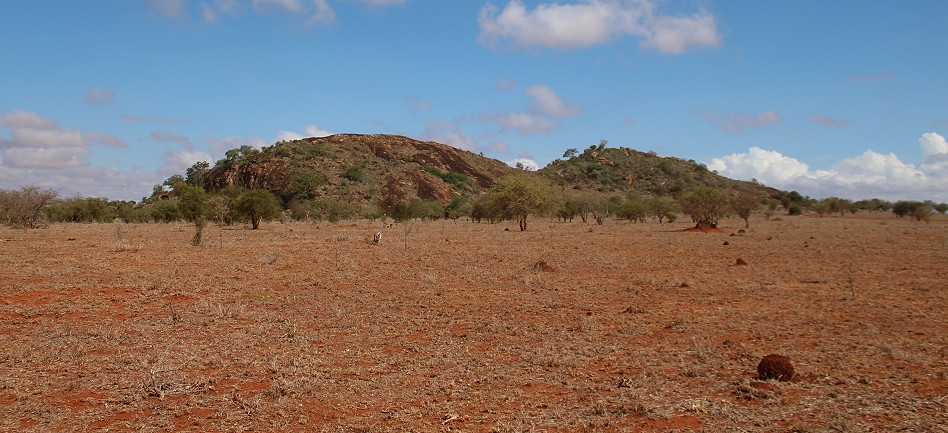 Lion Rock, Lumo Conservancy
