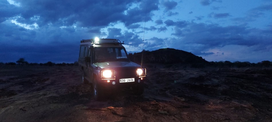 Night Game Drive im Lumo Conservancy