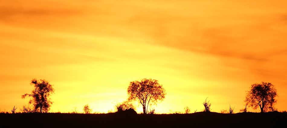 Sonnenaufgang im Lumo Conservancy