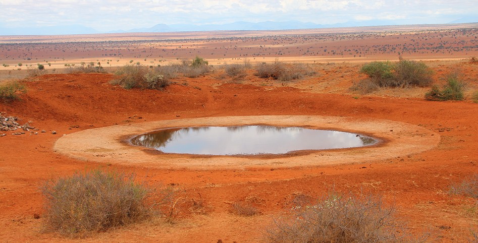Soroi Lion Bluff Wasserstelle, Lumo Conservancy