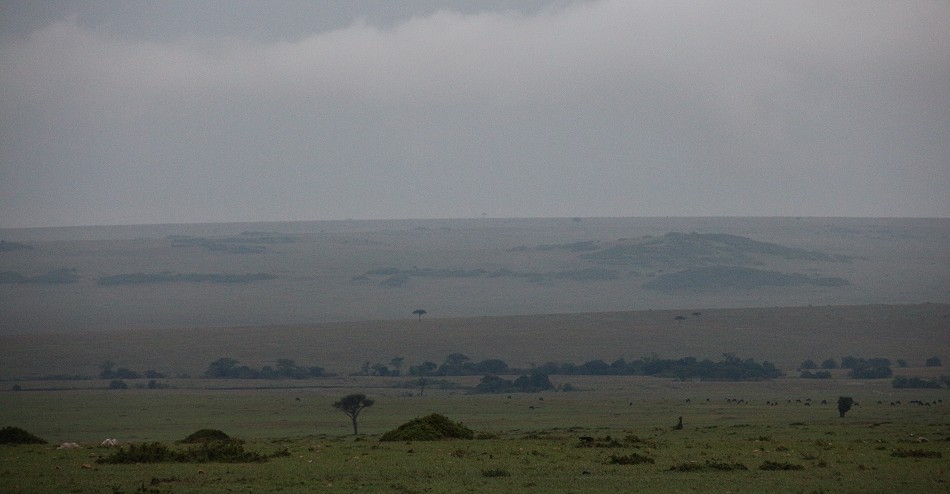 Masai Mara März 2023