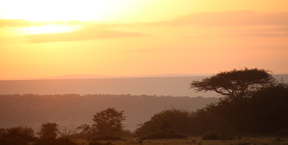 Masai Mara am Korgen