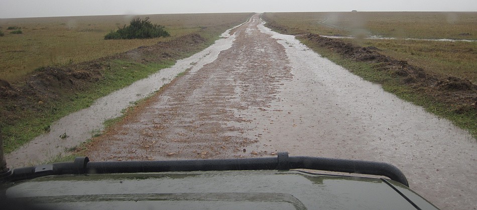 Starkregen in der Masai Mara