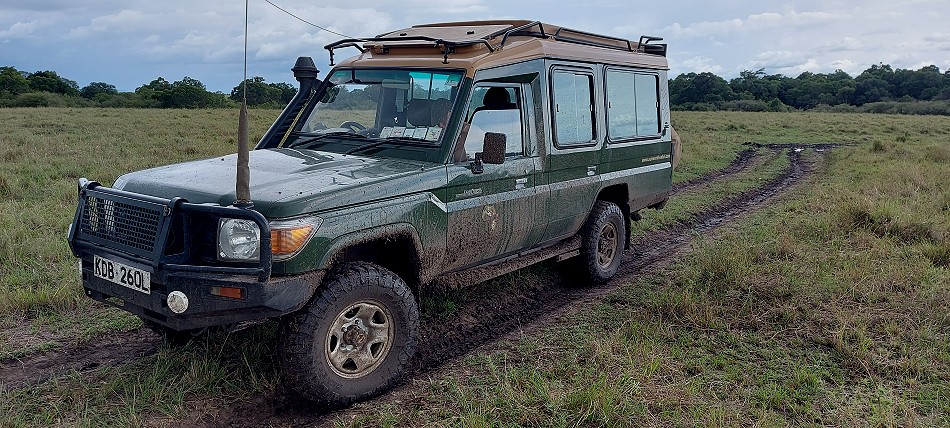 matschige Masai Mara