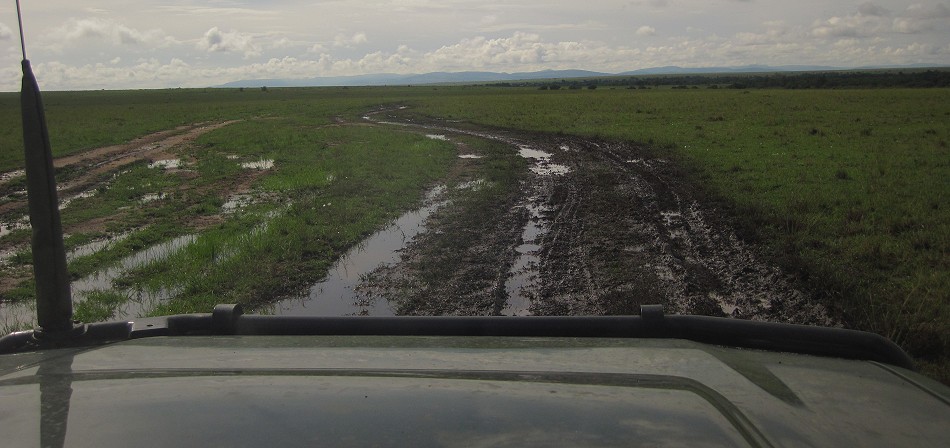 matschig, nasse Masai Mara im März 2023
