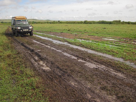 matschig, nasse Masai Mara im März 2023