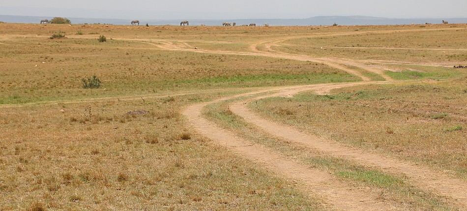 Masai Mara Anfang März 2023