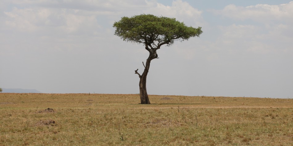 Masai Mara Anfang März 2023