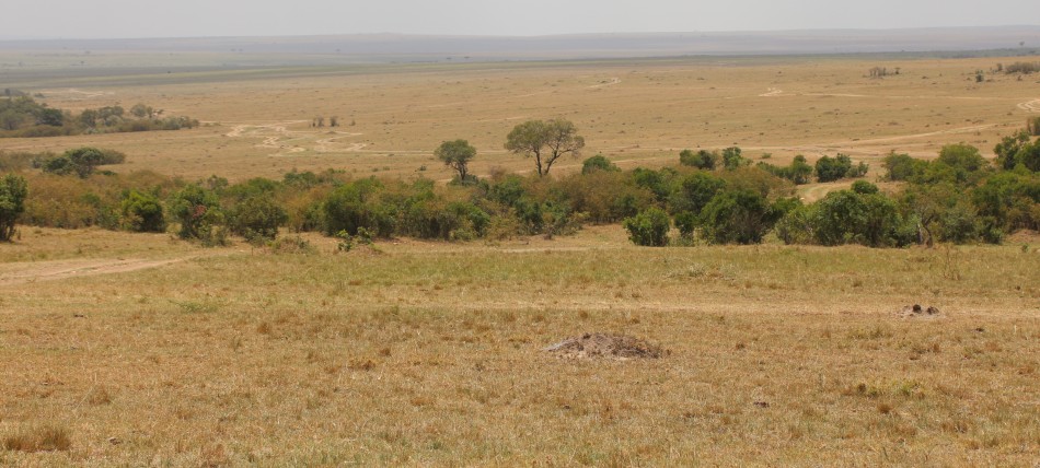 Masai Mara Anfang März 2023