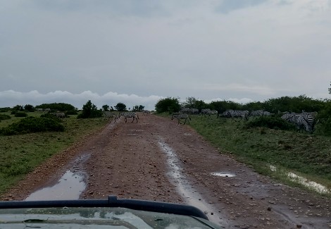 Masai Mara März 2023