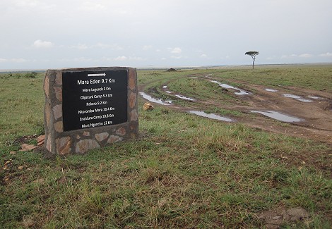 Masai Mara März 2023