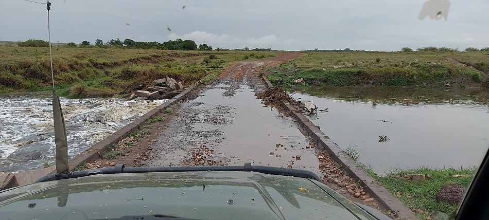 Masai Mara März 2023