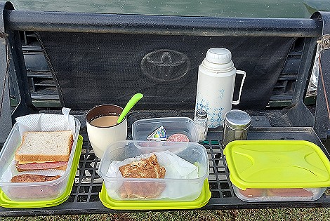 Busch Frühstück in der Masai Mara