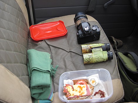 Bushbreakfast in der Masa Mara