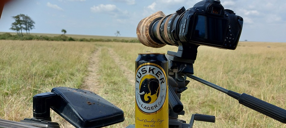Warten auf den Leoparden