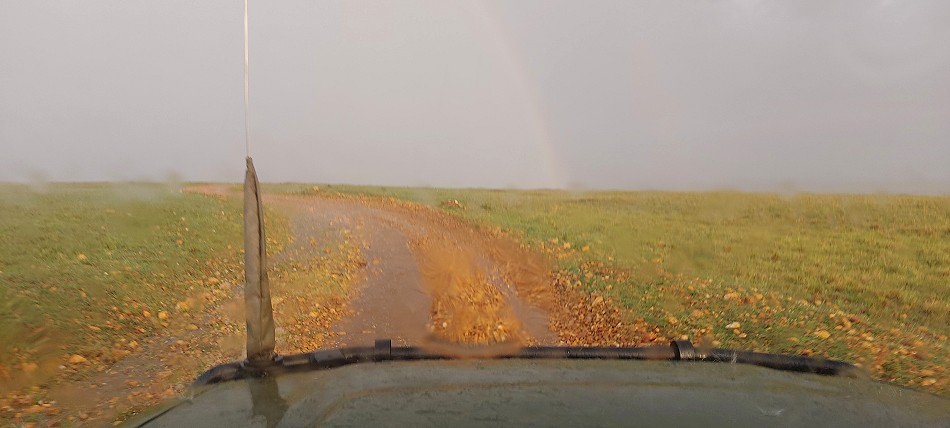 Regen in der Masai Mara