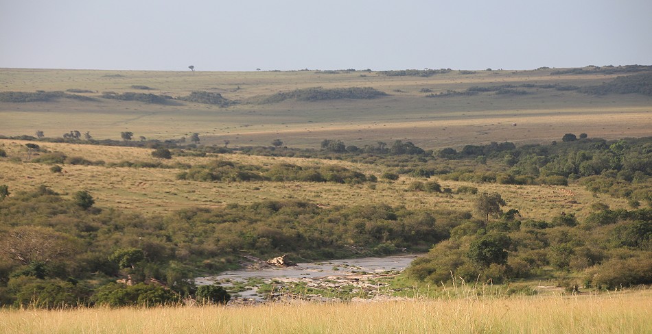Rekero Crossing