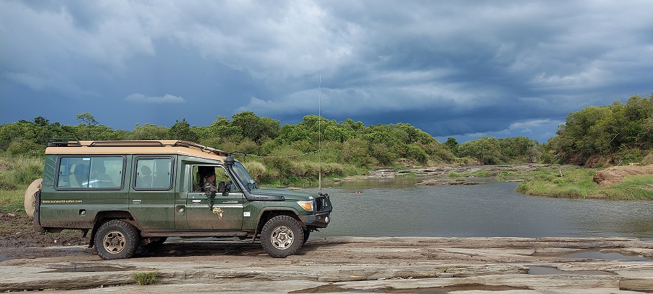 Smelling Crossing - Masai Mara