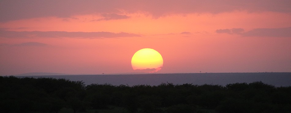 Sonnenaufgang in der Masai Mara