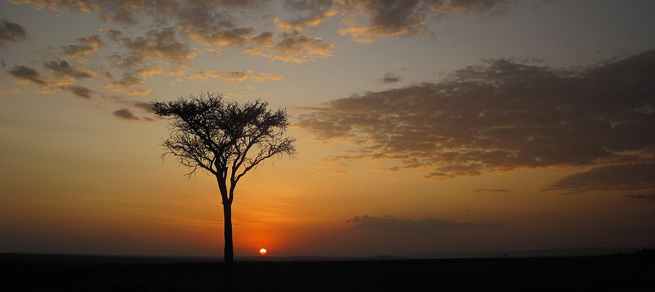 Sonnenuntergang in der Masai Mara