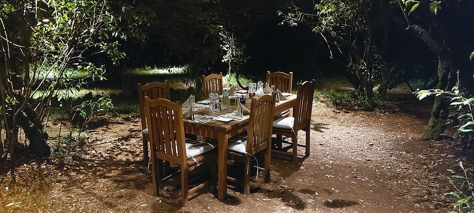 Soroi Private Wing Camp