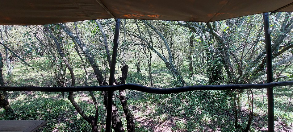 Soroi Private Wing Camp - Ol Kiombo, Masai Mara