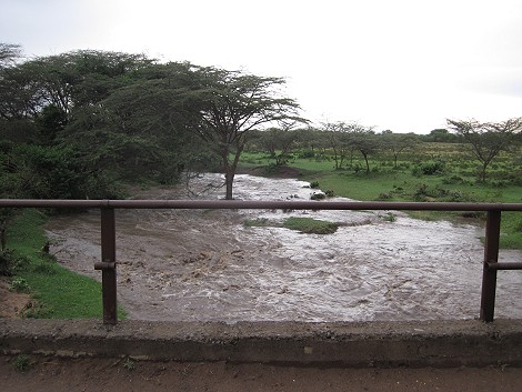 Starkregen in der Masai Mara
