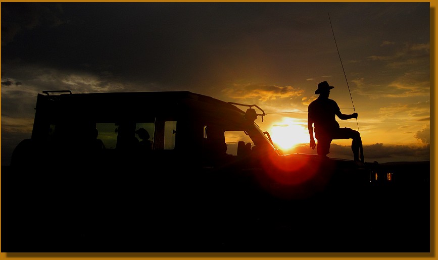 Abenteur und  Freiheit in der Masai Mara